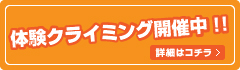 体験クライミング開催中!!